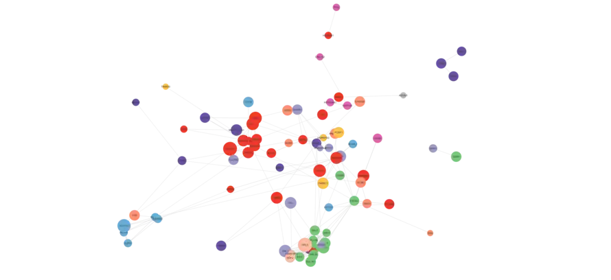 Mre11 nonIR5 Structural Modules