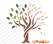 The tree logo of the laboratory